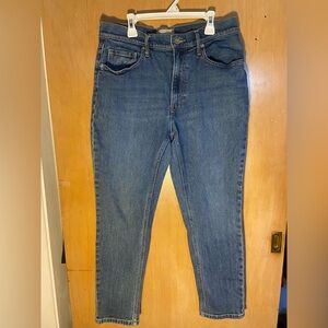 Everlane The Original Cheeky Jean Organic Cotton Size 29 Crop Jeans